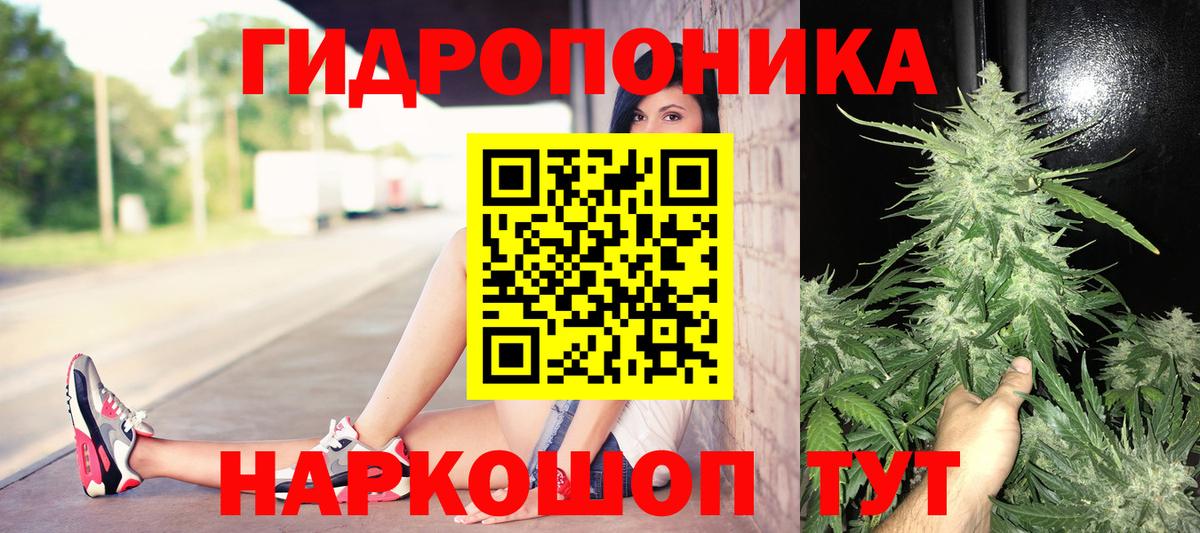 МАРИХУАНА Ganja  Марихуана семена  Саранск  Вход с VPN  Конопля White Widow 